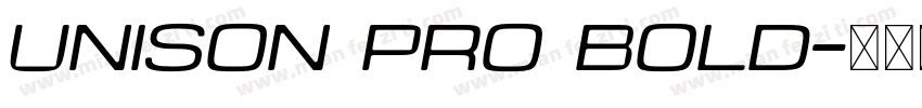 Unison Pro Bold字体转换
